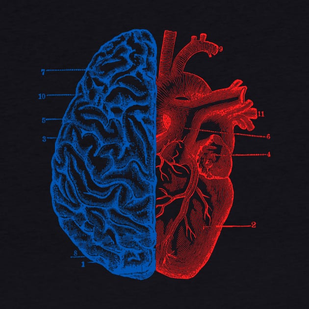 Heart and Brain by Tobe_Fonseca